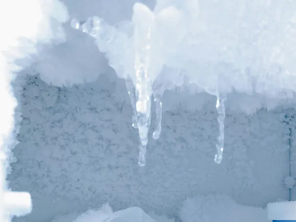Refrigerator
 close-up